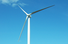 Bradford Windmills